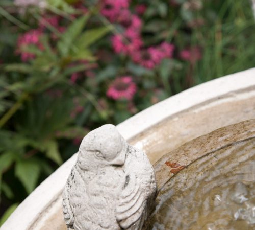 Carr_birdbath_2015