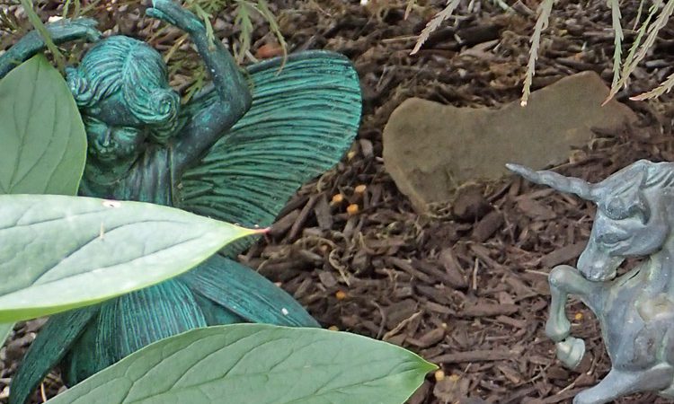 Carr_fairygarden_P8063504