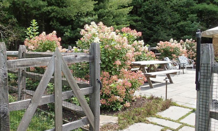 Carr_poolgate_P8063474RT