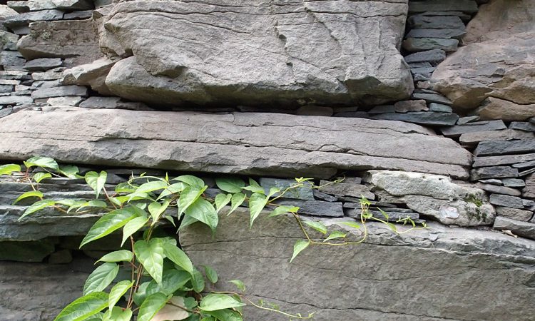 Sands_detail_P7063274