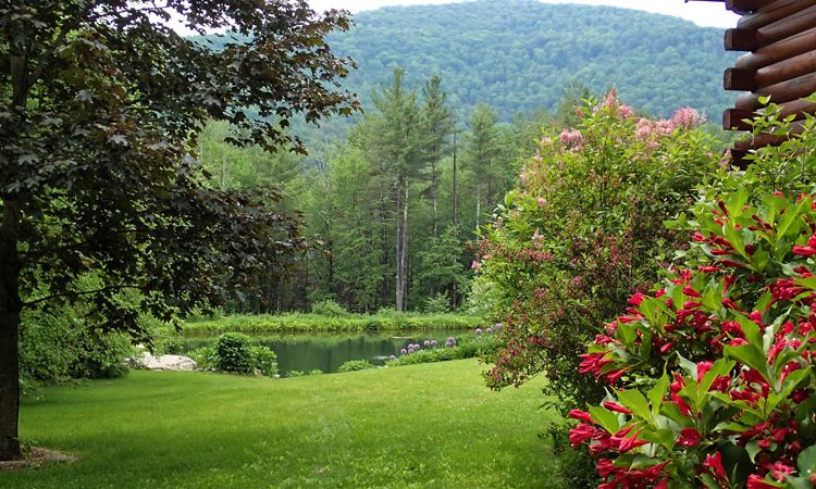 Schuman_entry_6133043