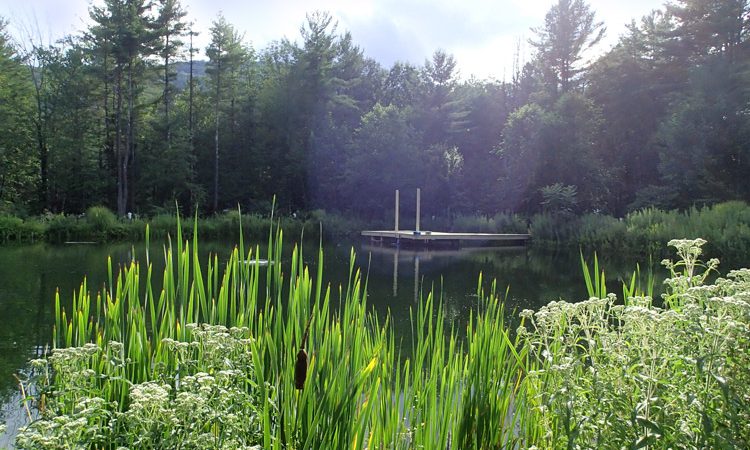 Schuman_pond_8013352