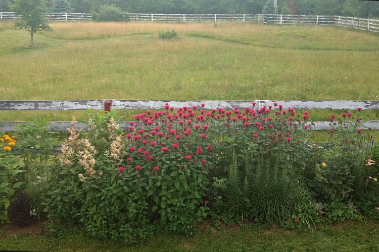 small_projects_paddock